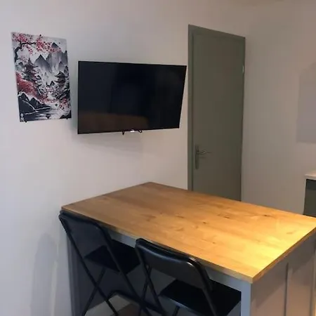 شقة Cosy-grand Stade Villeneuve D'ascq Lezennes