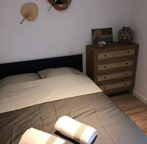 Cosy-grand Stade Villeneuve D'ascq Appartement Lezennes