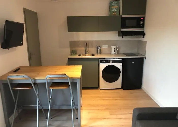 Cosy-grand Stade Villeneuve D'ascq Appartement Lezennes