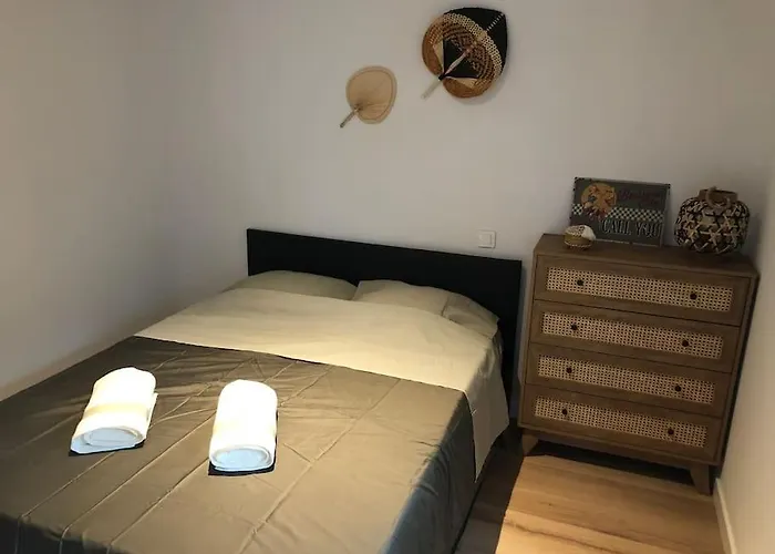 Cosy-grand Stade Villeneuve D'ascq *