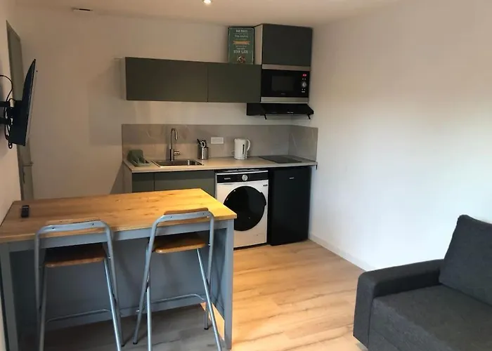 Cosy-grand Stade Villeneuve D'ascq Appartement